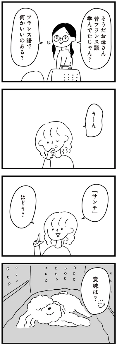 『おはよう、サンテ　不登校の私を救った愛犬との日々』より