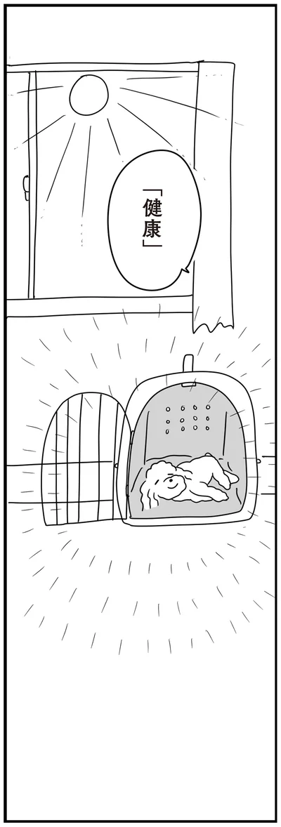 『おはよう、サンテ　不登校の私を救った愛犬との日々』より