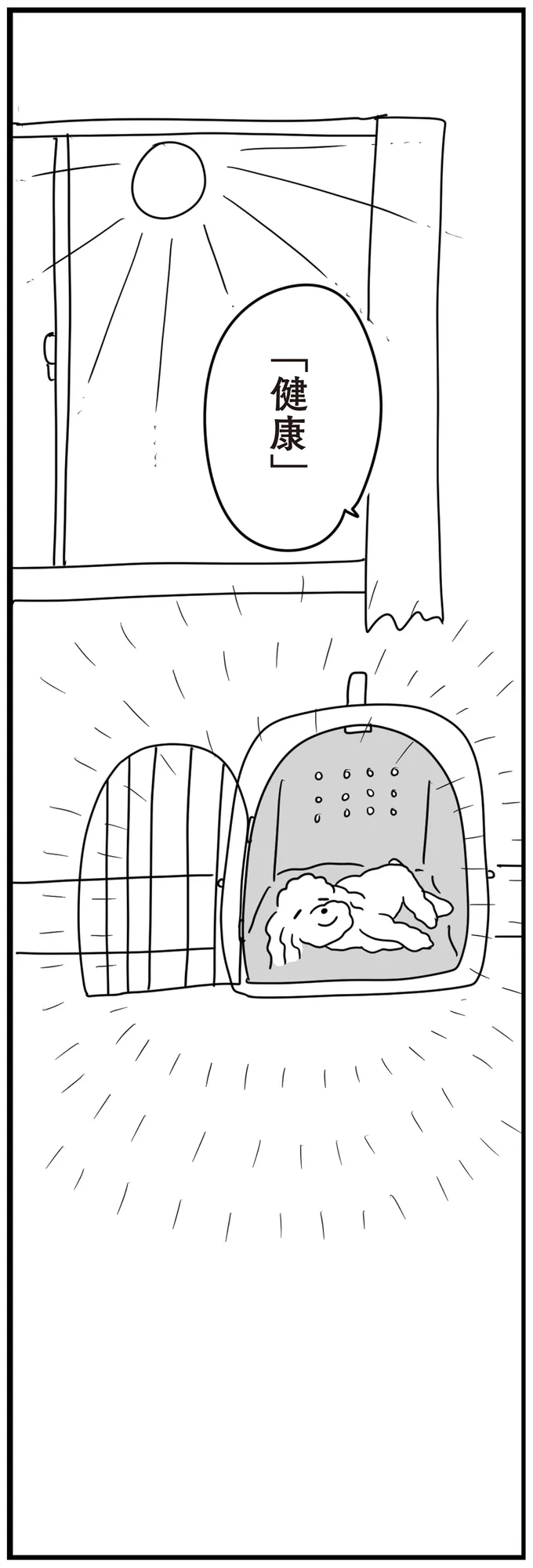 『おはよう、サンテ　不登校の私を救った愛犬との日々』より
