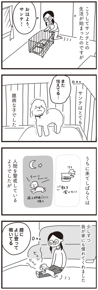 『おはよう、サンテ　不登校の私を救った愛犬との日々』より