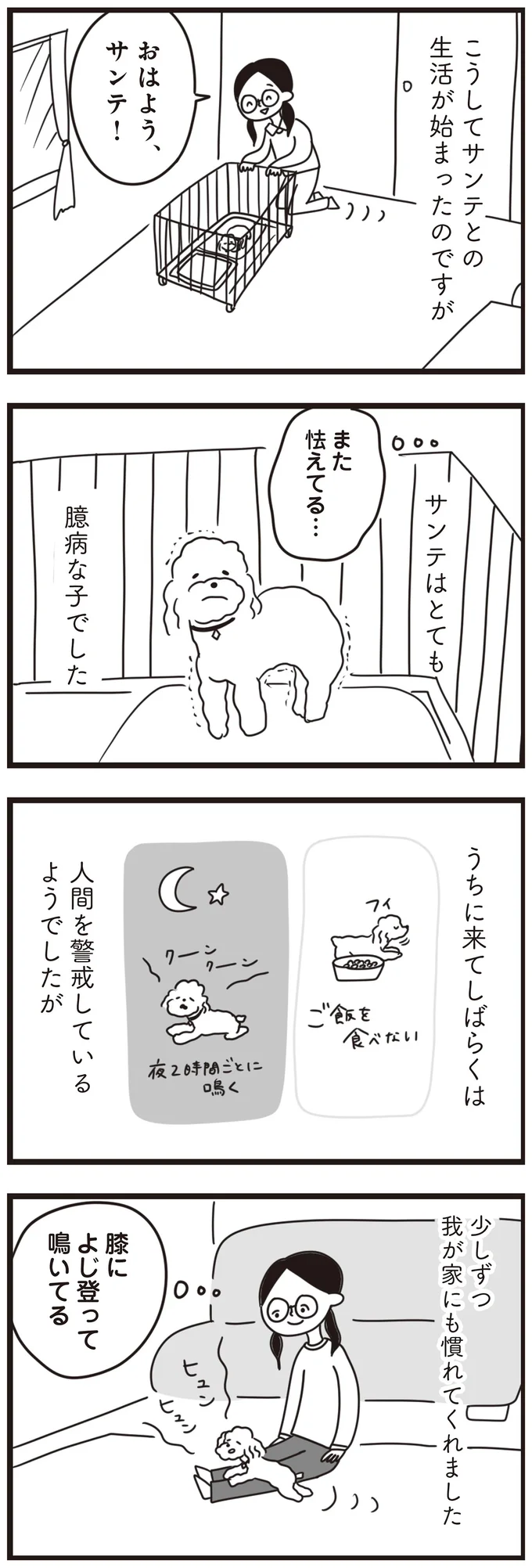 『おはよう、サンテ　不登校の私を救った愛犬との日々』より