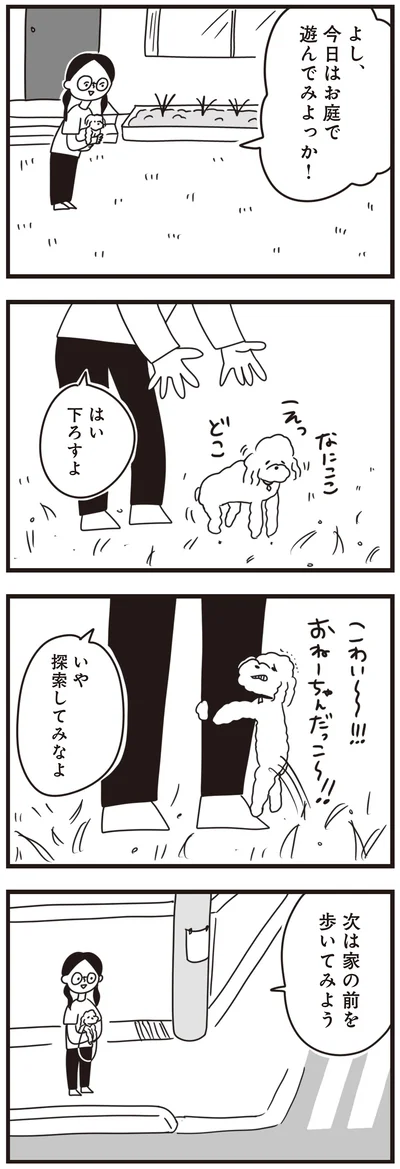 『おはよう、サンテ　不登校の私を救った愛犬との日々』より