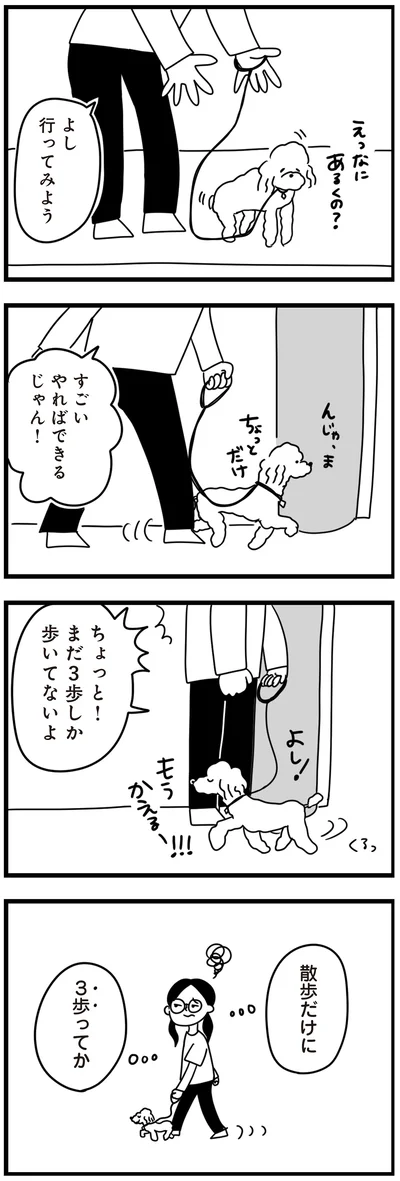 『おはよう、サンテ　不登校の私を救った愛犬との日々』より