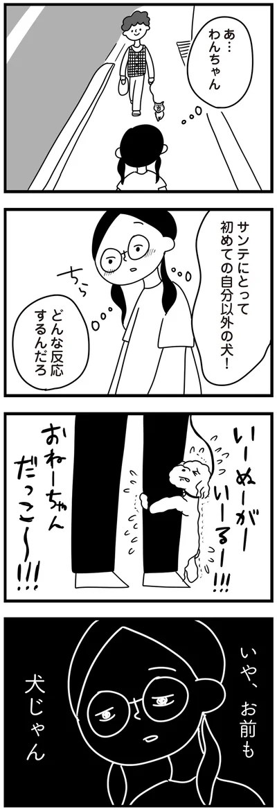 『おはよう、サンテ　不登校の私を救った愛犬との日々』より