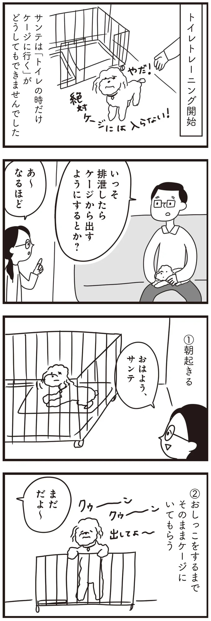 『おはよう、サンテ　不登校の私を救った愛犬との日々』より