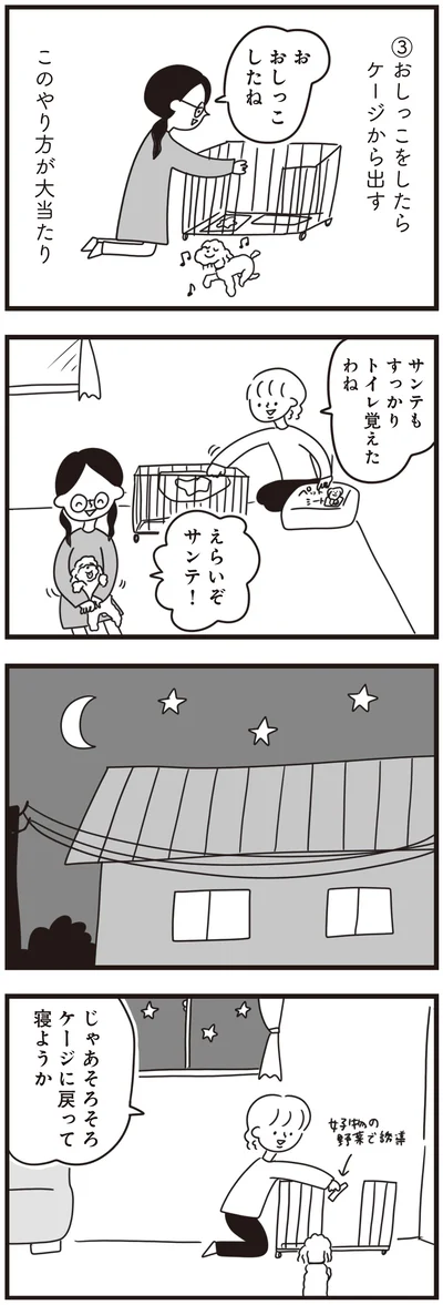 『おはよう、サンテ　不登校の私を救った愛犬との日々』より