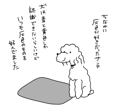 『おはよう、サンテ　不登校の私を救った愛犬との日々』より