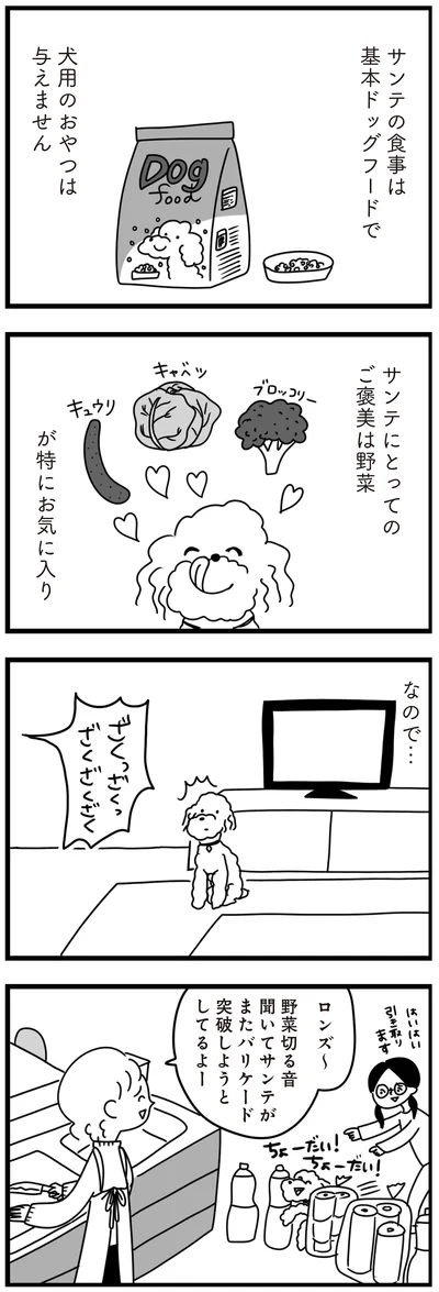 『おはよう、サンテ　不登校の私を救った愛犬との日々』より