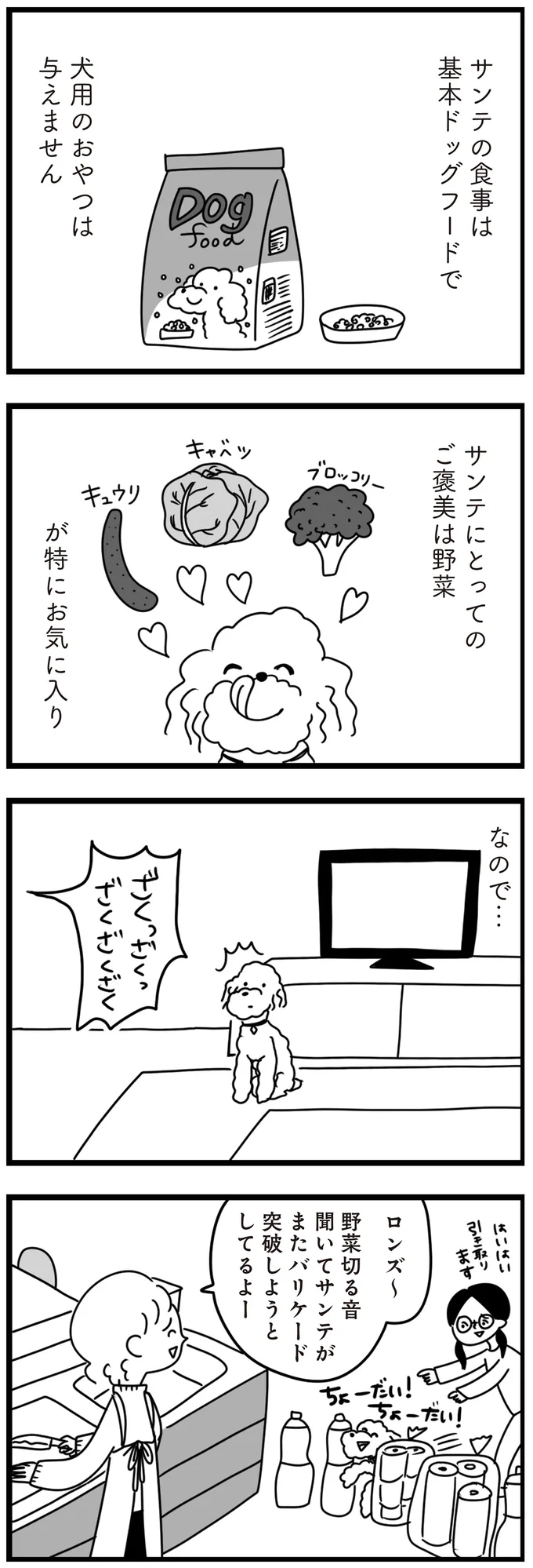 『おはよう、サンテ　不登校の私を救った愛犬との日々』より