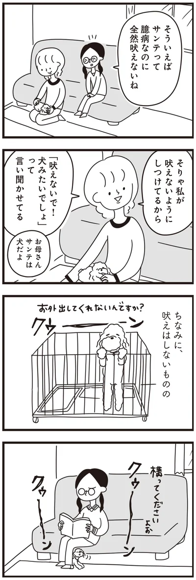 『おはよう、サンテ　不登校の私を救った愛犬との日々』より