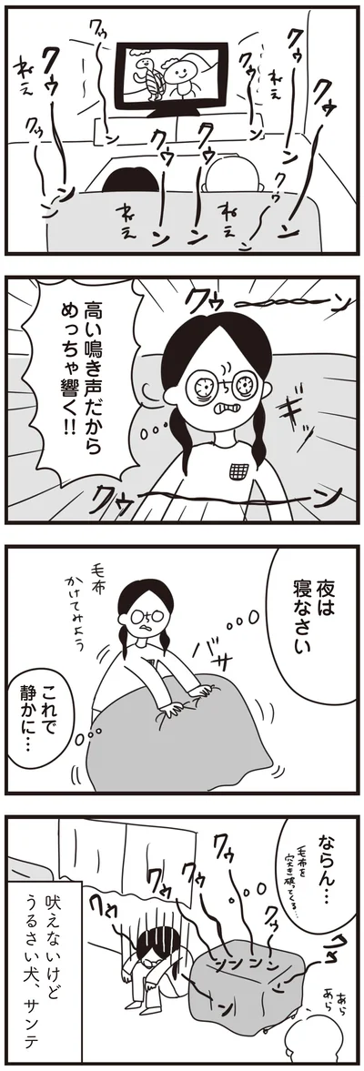 『おはよう、サンテ　不登校の私を救った愛犬との日々』より