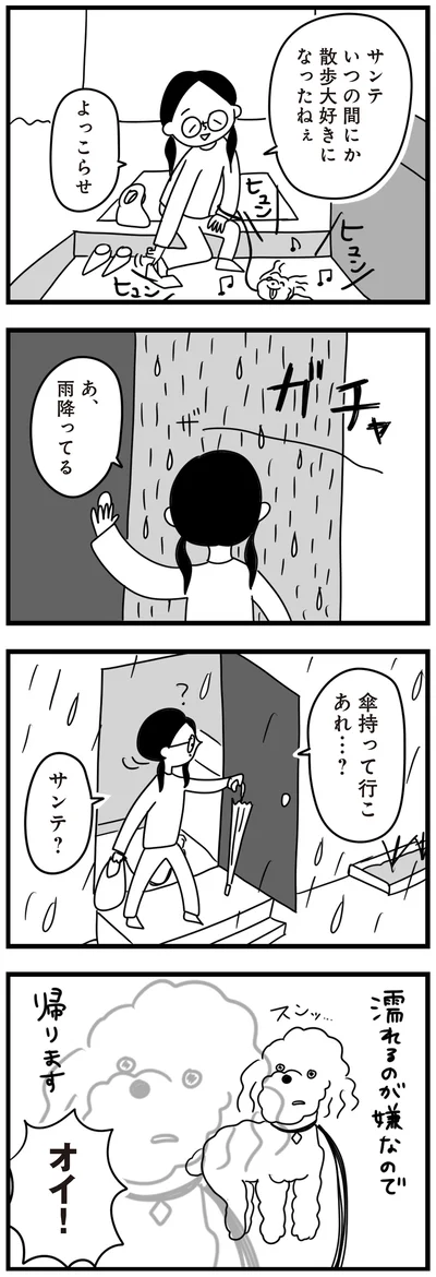 『おはよう、サンテ　不登校の私を救った愛犬との日々』より