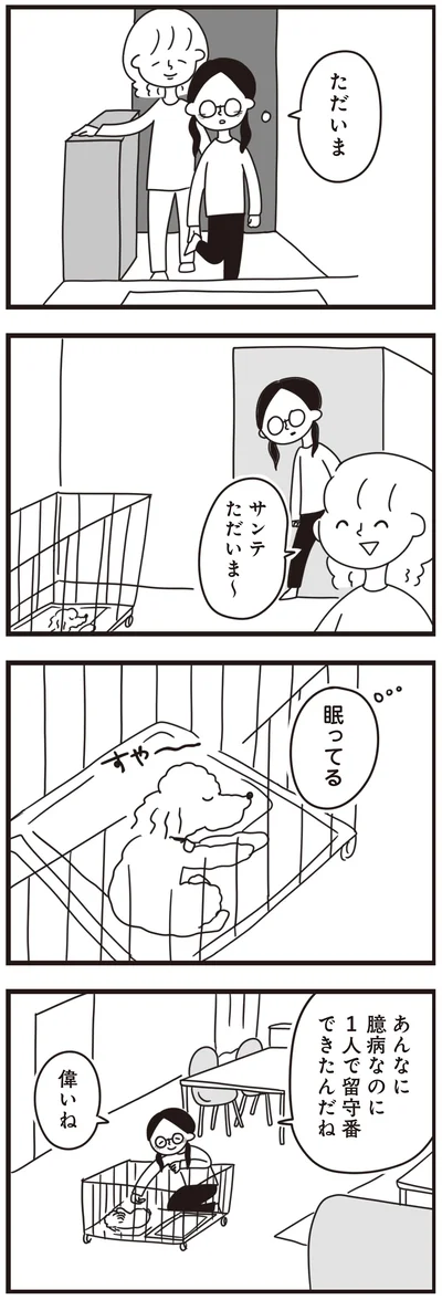 『おはよう、サンテ　不登校の私を救った愛犬との日々』より