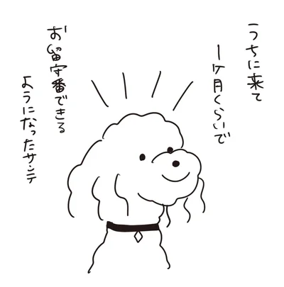 『おはよう、サンテ　不登校の私を救った愛犬との日々』より