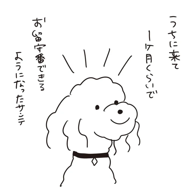 『おはよう、サンテ　不登校の私を救った愛犬との日々』より
