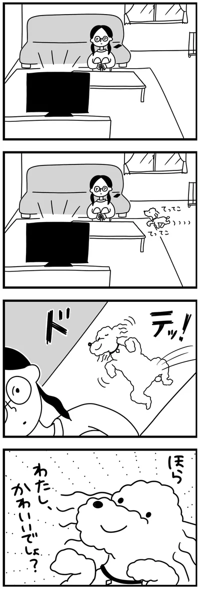 『おはよう、サンテ　不登校の私を救った愛犬との日々』より