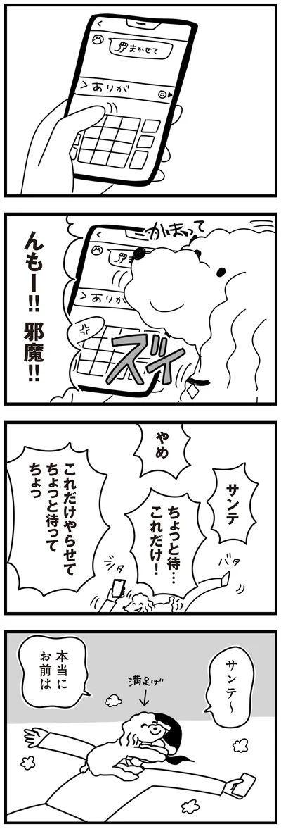 『おはよう、サンテ　不登校の私を救った愛犬との日々』より