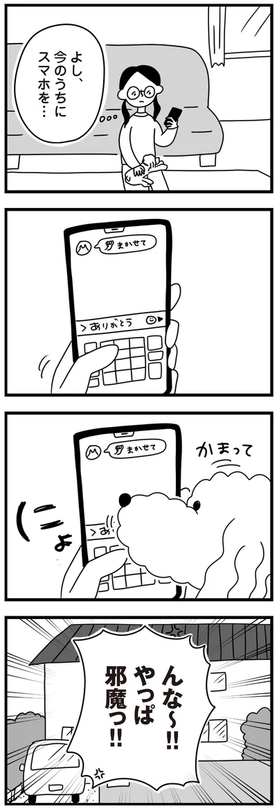 『おはよう、サンテ　不登校の私を救った愛犬との日々』より
