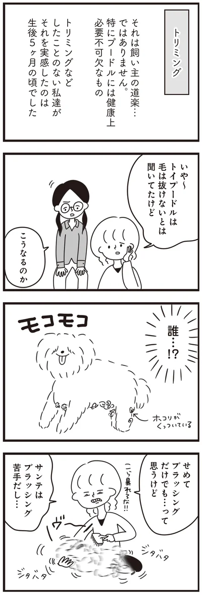 『おはよう、サンテ　不登校の私を救った愛犬との日々』より