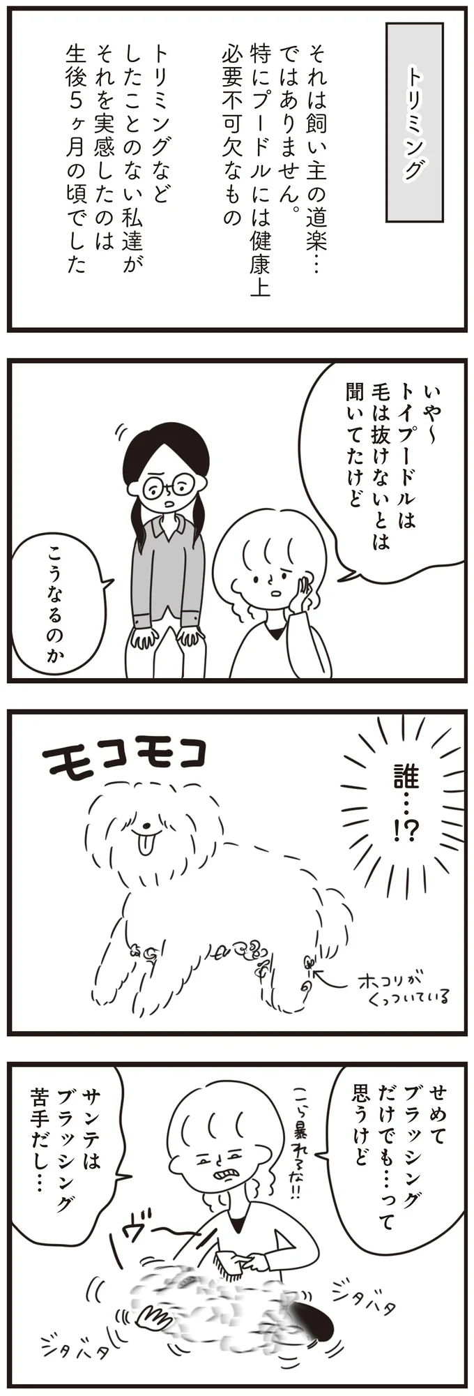 『おはよう、サンテ　不登校の私を救った愛犬との日々』より
