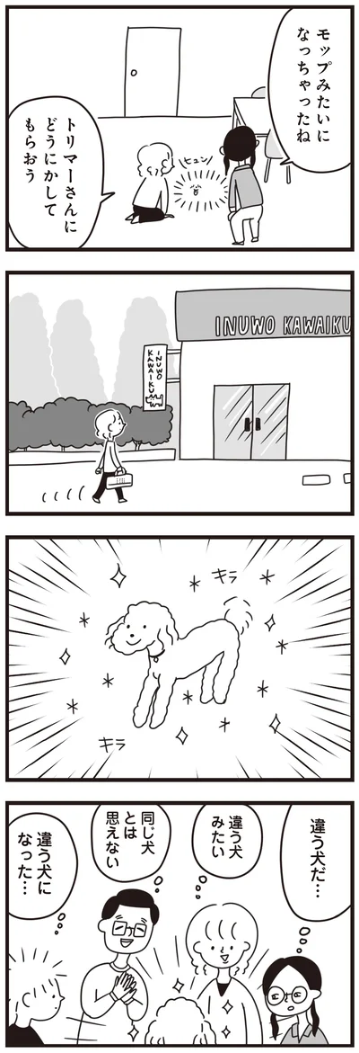 『おはよう、サンテ　不登校の私を救った愛犬との日々』より