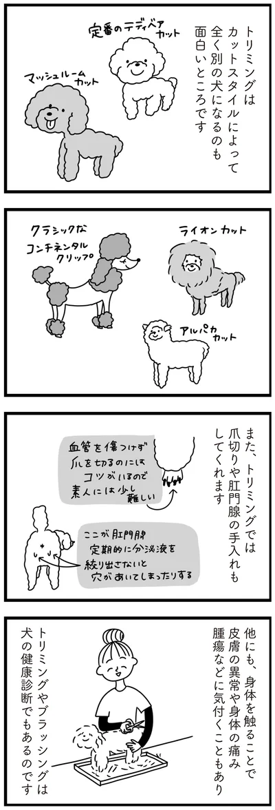 『おはよう、サンテ　不登校の私を救った愛犬との日々』より
