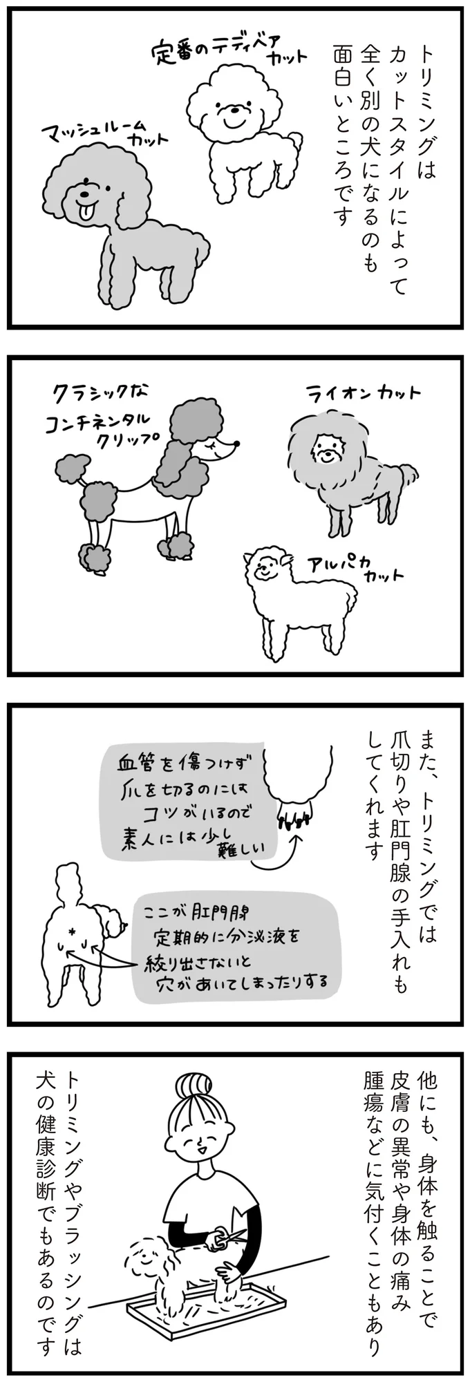 『おはよう、サンテ　不登校の私を救った愛犬との日々』より