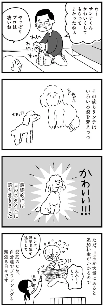 『おはよう、サンテ　不登校の私を救った愛犬との日々』より