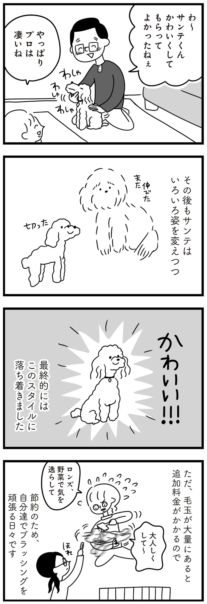 『おはよう、サンテ　不登校の私を救った愛犬との日々』より