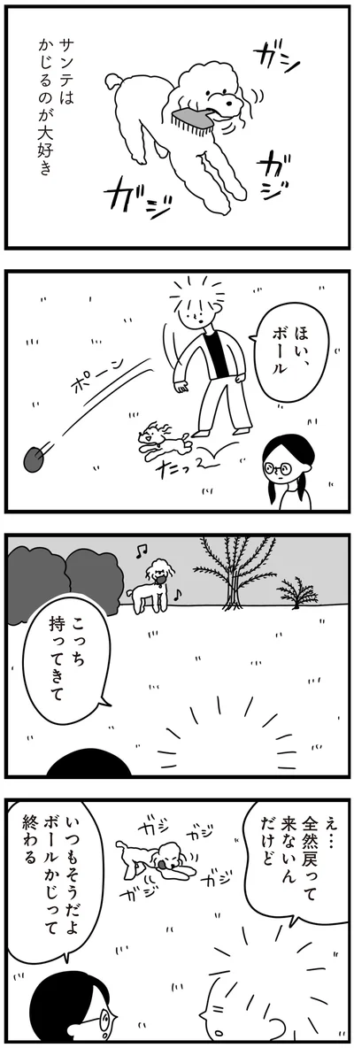 『おはよう、サンテ　不登校の私を救った愛犬との日々』より