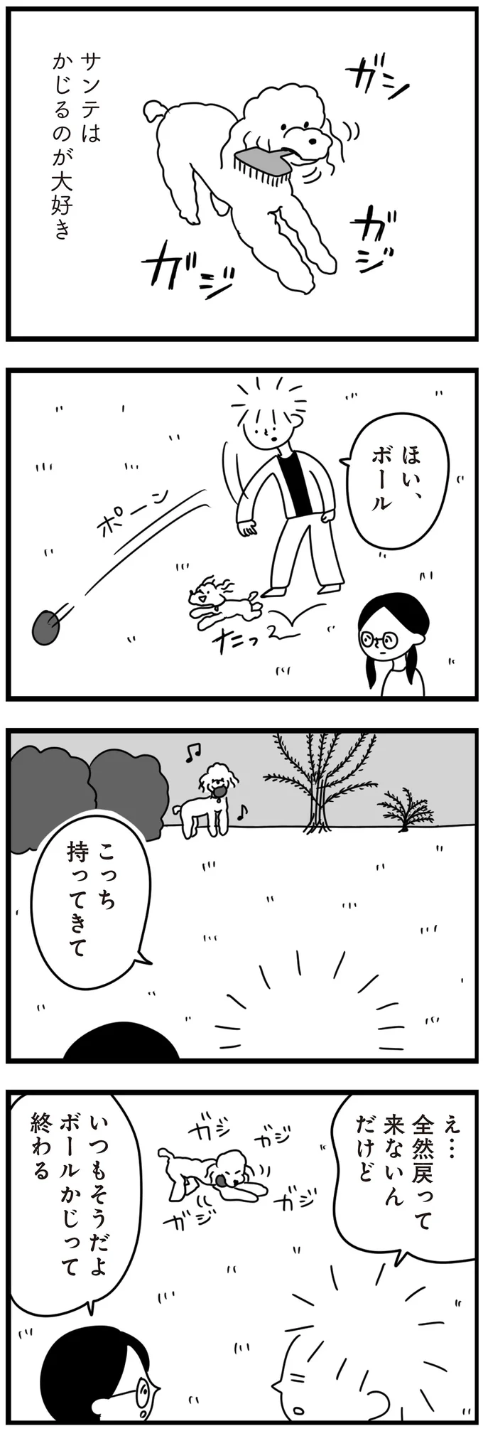 『おはよう、サンテ　不登校の私を救った愛犬との日々』より