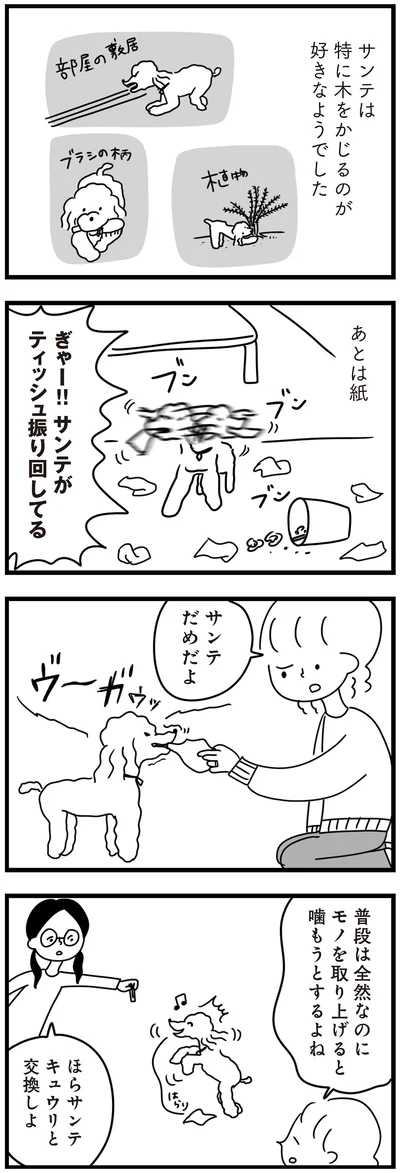 『おはよう、サンテ　不登校の私を救った愛犬との日々』より