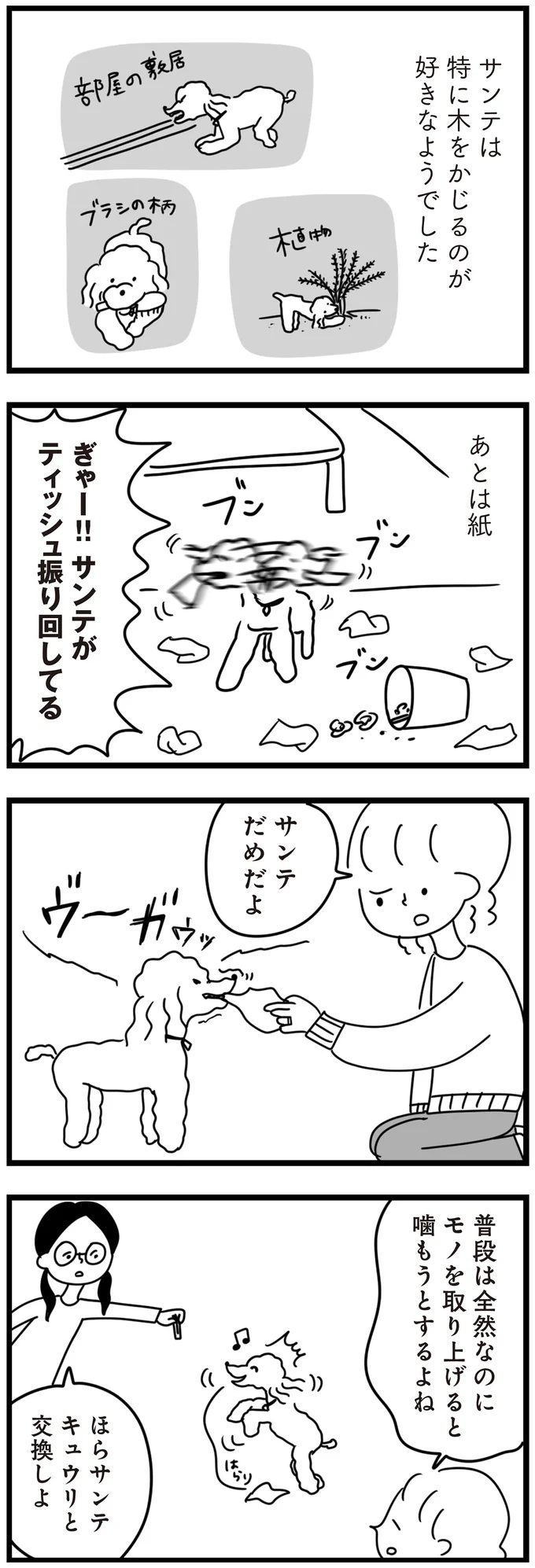 『おはよう、サンテ　不登校の私を救った愛犬との日々』より