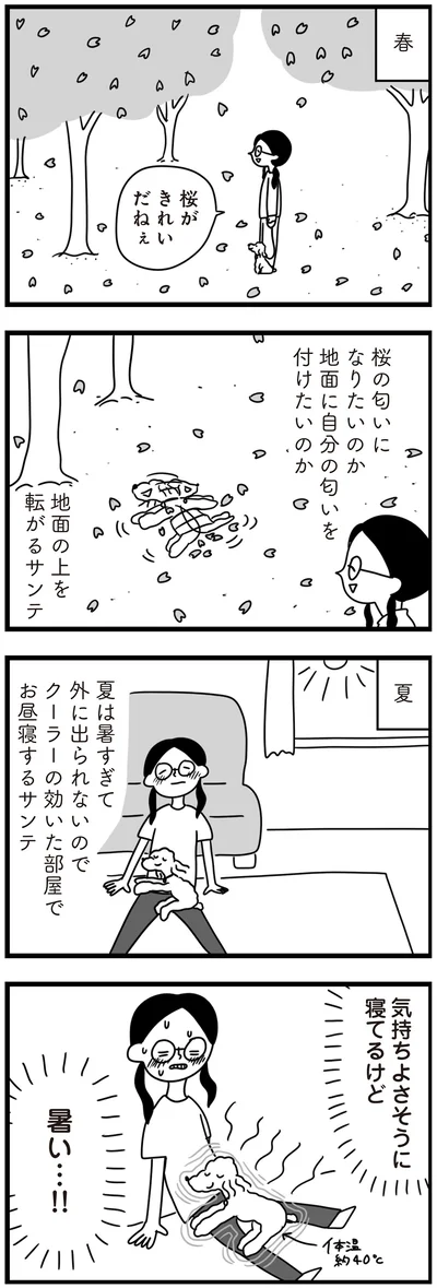 『おはよう、サンテ　不登校の私を救った愛犬との日々』より