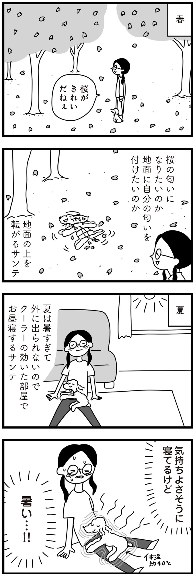 『おはよう、サンテ　不登校の私を救った愛犬との日々』より