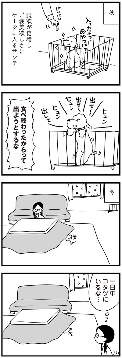 『おはよう、サンテ　不登校の私を救った愛犬との日々』より