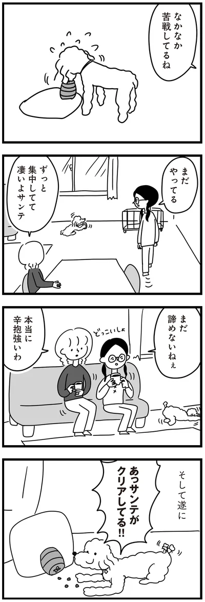 『おはよう、サンテ　不登校の私を救った愛犬との日々』より