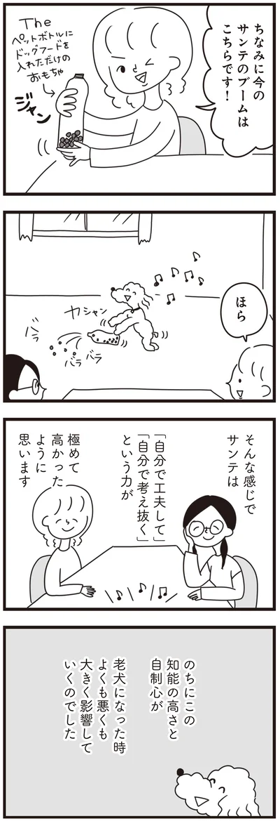 『おはよう、サンテ　不登校の私を救った愛犬との日々』より