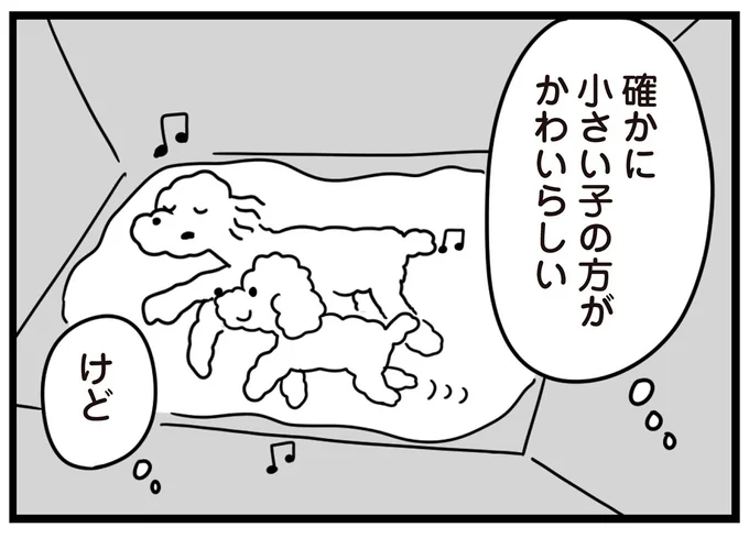 確かに小さい子の方がかわいらしい けど