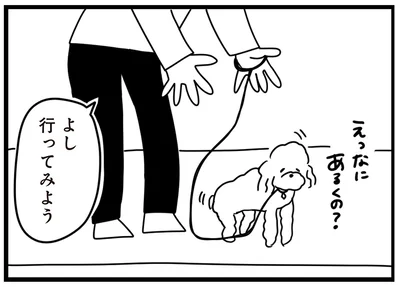 よし　行ってみよう