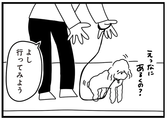 臆病すぎる我が家の子犬。初めての散歩に出るも怖がってばかり