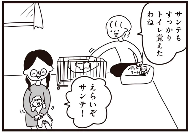 子犬にトイレを覚えさせたい。父のアイデアで大成功！と思ったら／おはよう、サンテ（5）