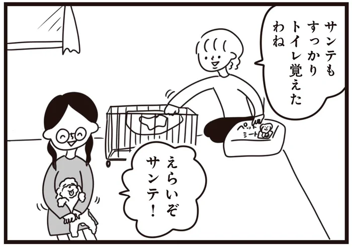 子犬にトイレを覚えさせたい。父のアイデアで大成功！と思ったら／おはよう、サンテ（5）