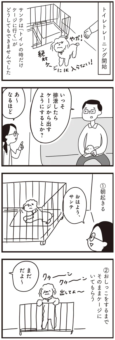 排泄したらケージから出すようにするとか？