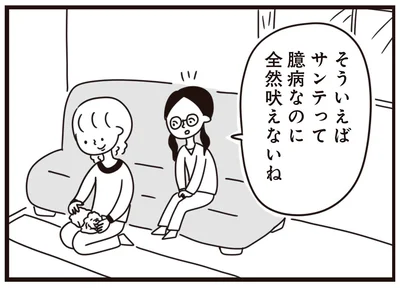 臆病なのに全然吠えないね