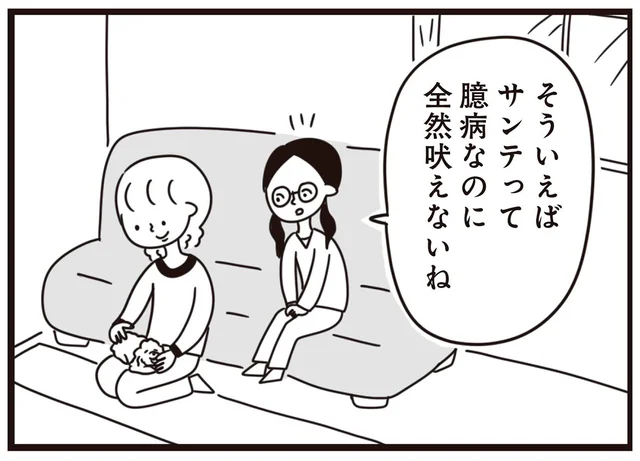 うちの子は臆病なのに全然吠えない。その理由は母のしつけにあった!?