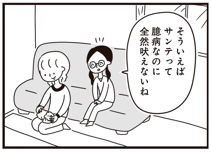 うちの子は臆病なのに全然吠えない。その理由は母のしつけにあった!?／おはよう、サンテ（6）