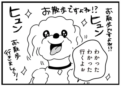 お散歩ですよね！？