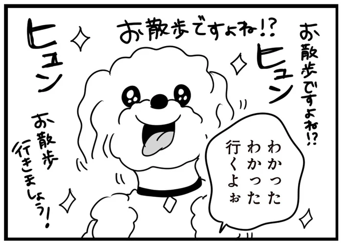 散歩が大好きになった愛犬。ところが雨が降っていると分かった瞬間／おはよう、サンテ（7）