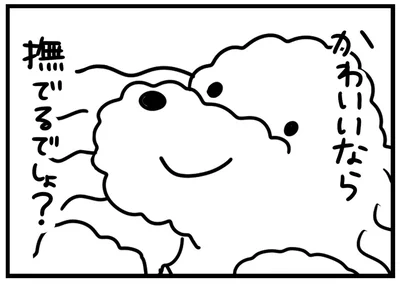 かわいいなら撫でるでしょ？